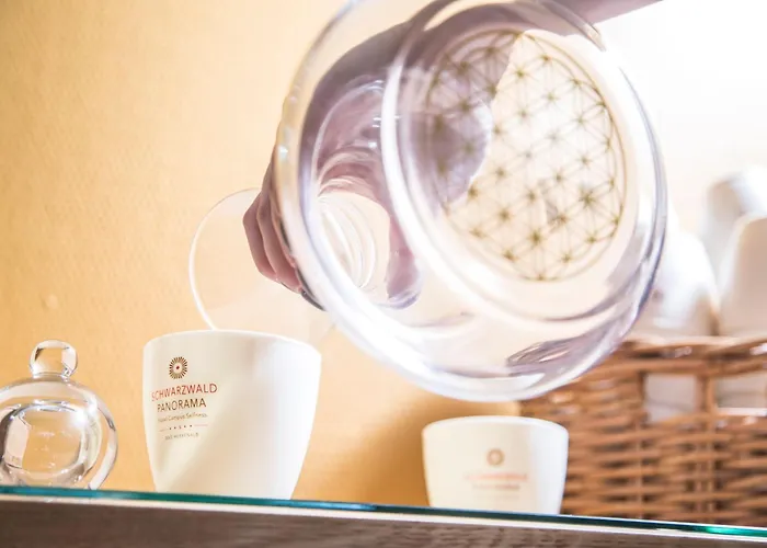 Schwarzwald Panorama